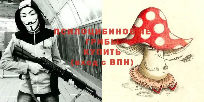 Галлюциногенные грибы Magic Shrooms  blacksprut tor  Афипский 